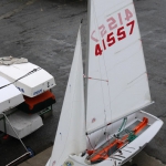 lions-AVAV-19mag2019-(13).jpg