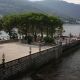 lions-isole-21set2014-(7).jpg